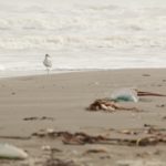 IMG_1866-1