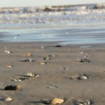 IMG_1921-1