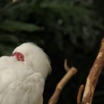 img_1978 img_1978