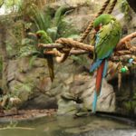 img_1986 img_1986