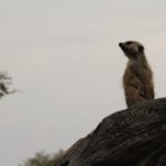 img_2028 img_2028