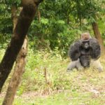 img_2034 img_2034