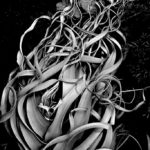 IMG_3123-1 IMG_3123-1