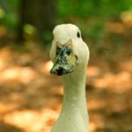 IMG_3266-1 IMG_3266-1