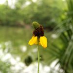IMG_3284-1 IMG_3284-1